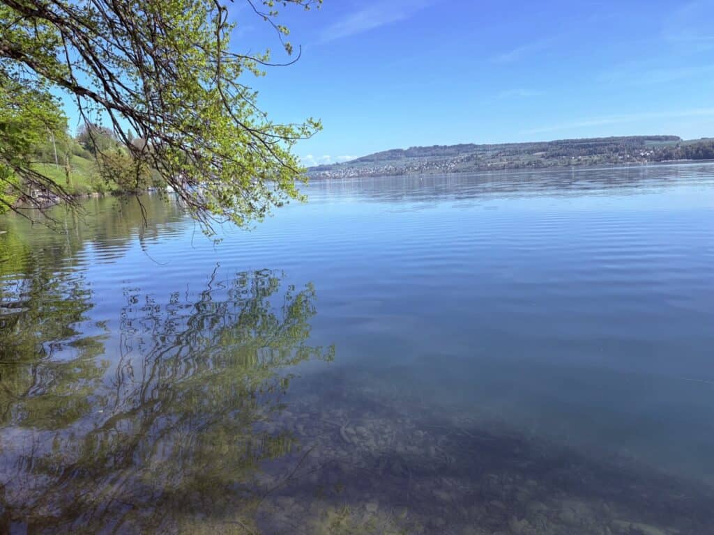 Lake Hallwil on a calm, sunny day with clear reflections