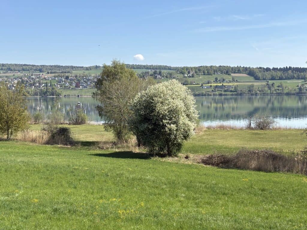 View over Lake Hallwil and its protected nature reserve