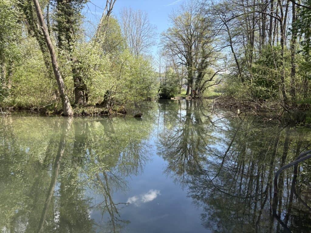 Idyllic swimming spot along the Aabach river with calm water and surrounding greenery