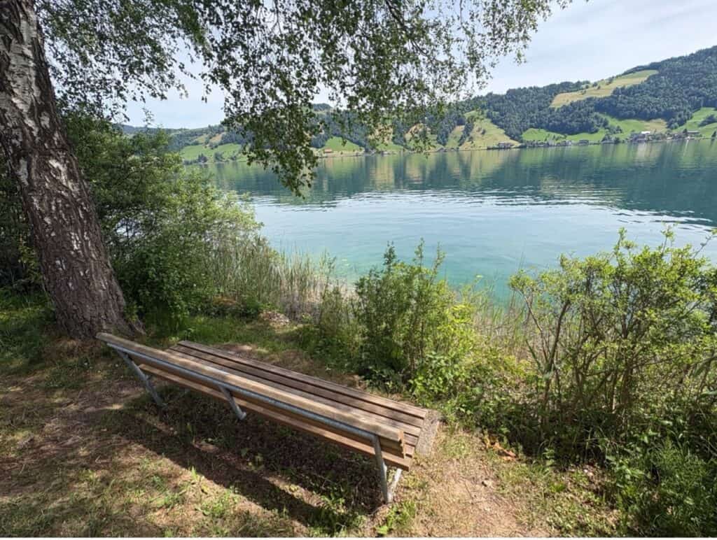 A bench looking out to turquoise blue Lake Aegeri.