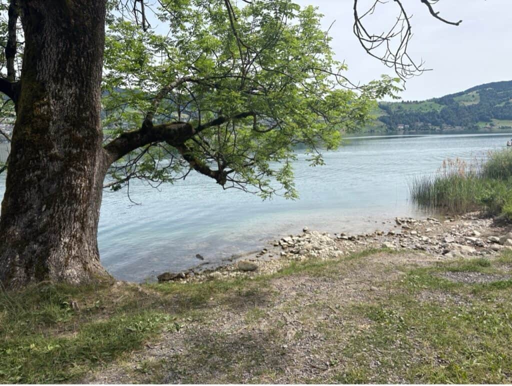 Peaceful swimming spot at Lake Ägeri with calm turquoise water and relaxing lakeside atmosphere.