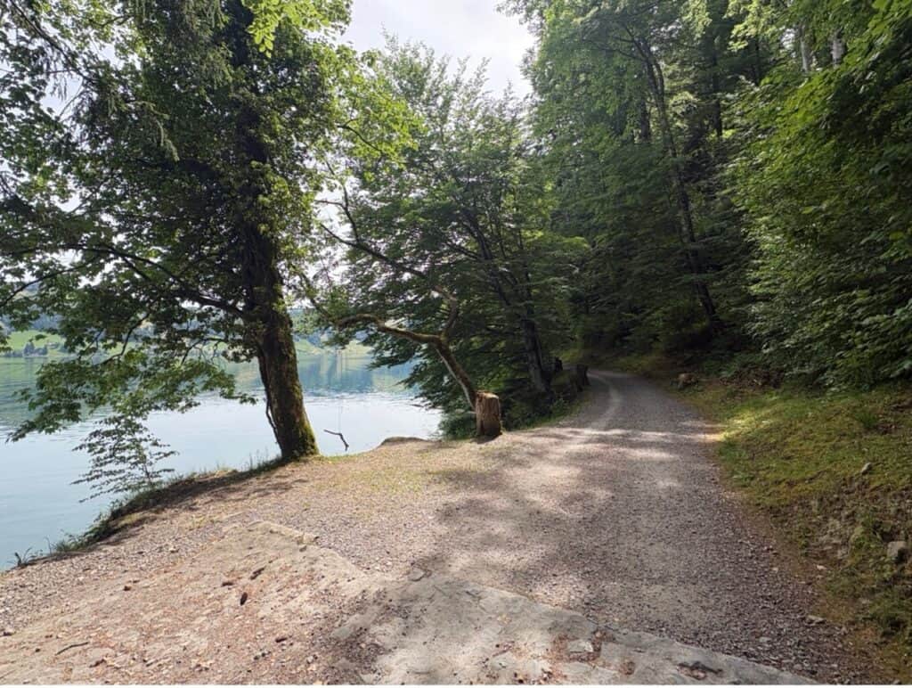 Wide forest hiking trail along Lake Aegeri.