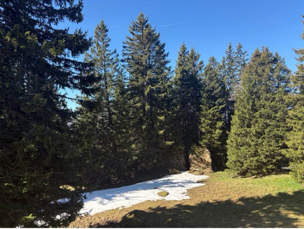 Patches of leftover snow beside the hiking trail toward Rigi Kaltbad.