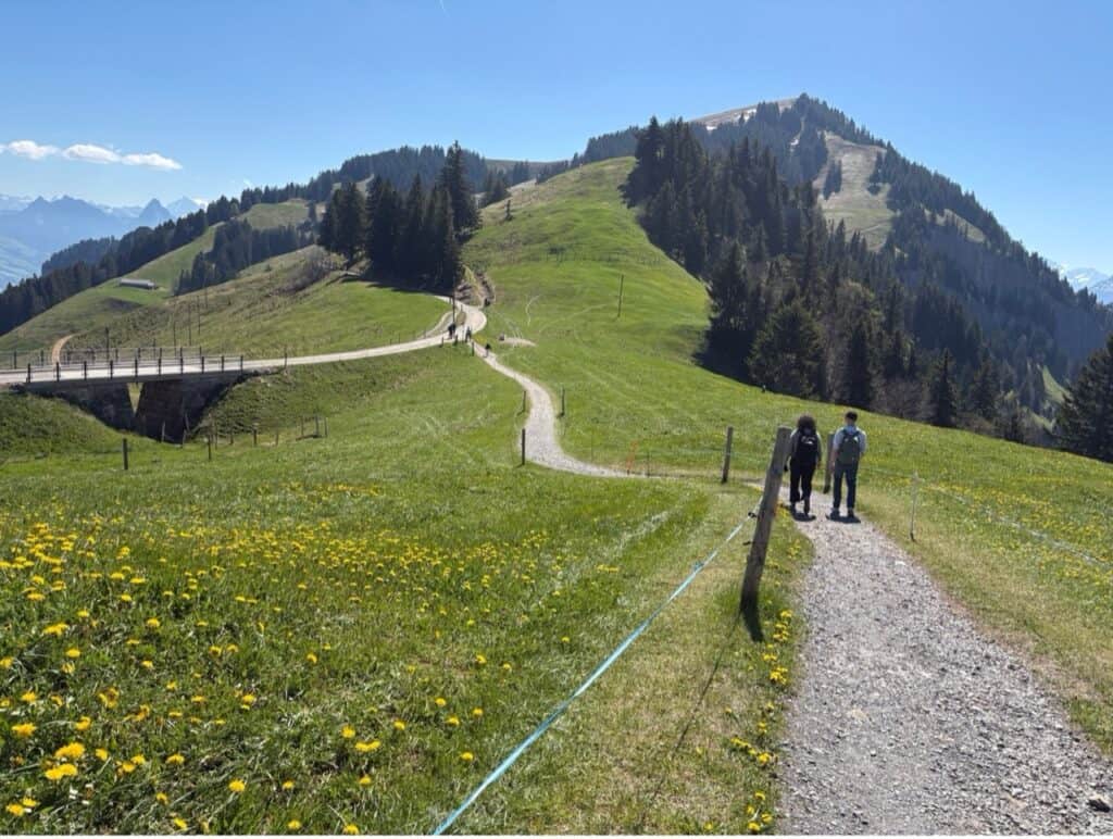 Hiking path on Mount Rigi