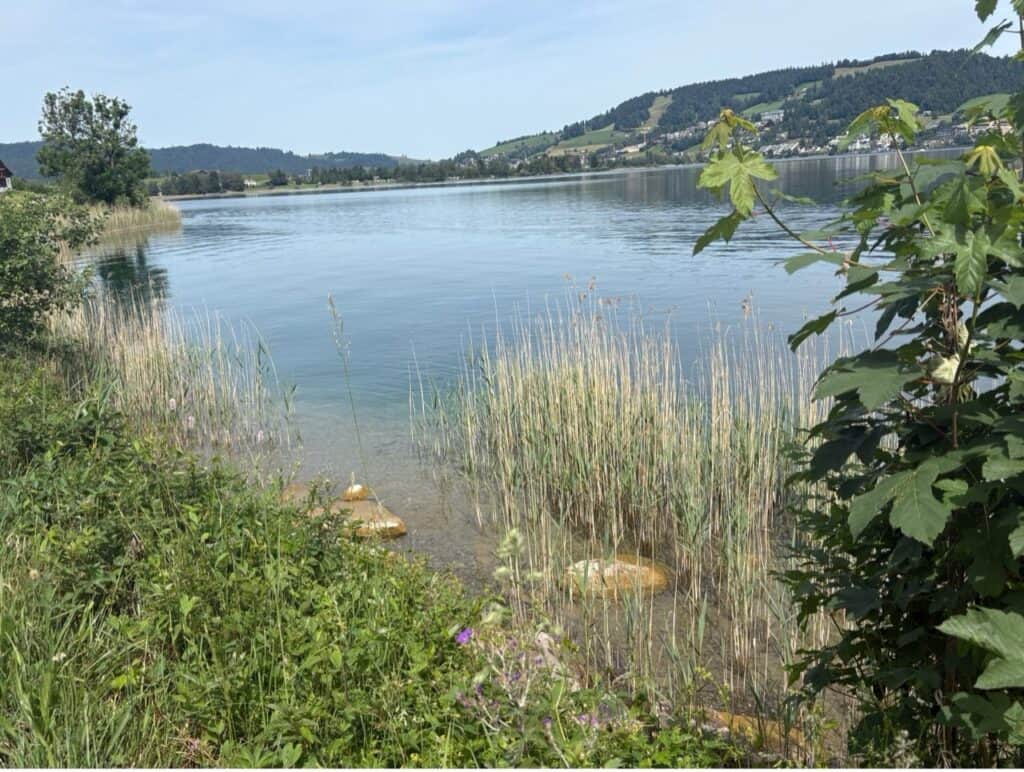 At the shore of Lake Aegeri (Ägerisees) in the canton of Zug in Switzerland.
