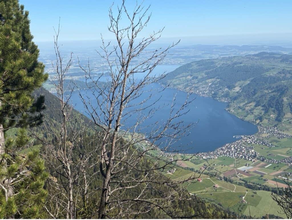 View of lake and surrounding landscape from Rigi Scheidegg