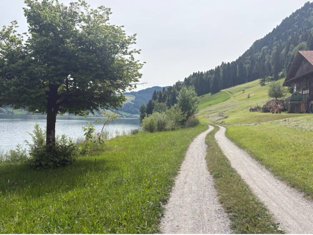 Walking path leading along Lake Aegeri with farm on the right side