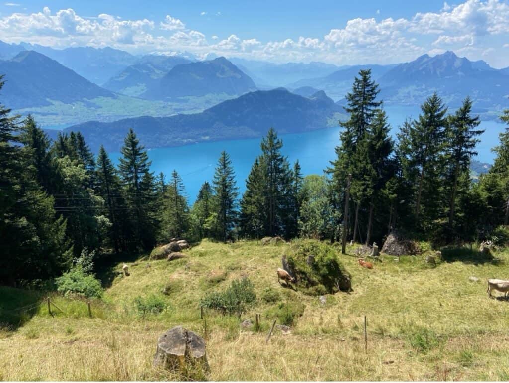 Scenic view of Lake Lucerne seen from the hiking trail leading toward Känzeli on Mount Rigi.