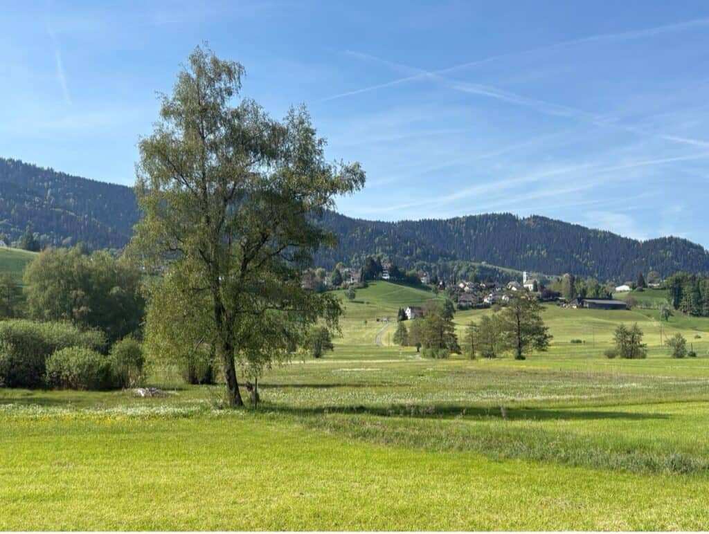 Hilly landscape around Hüttnersee lake with the village of Hütten.