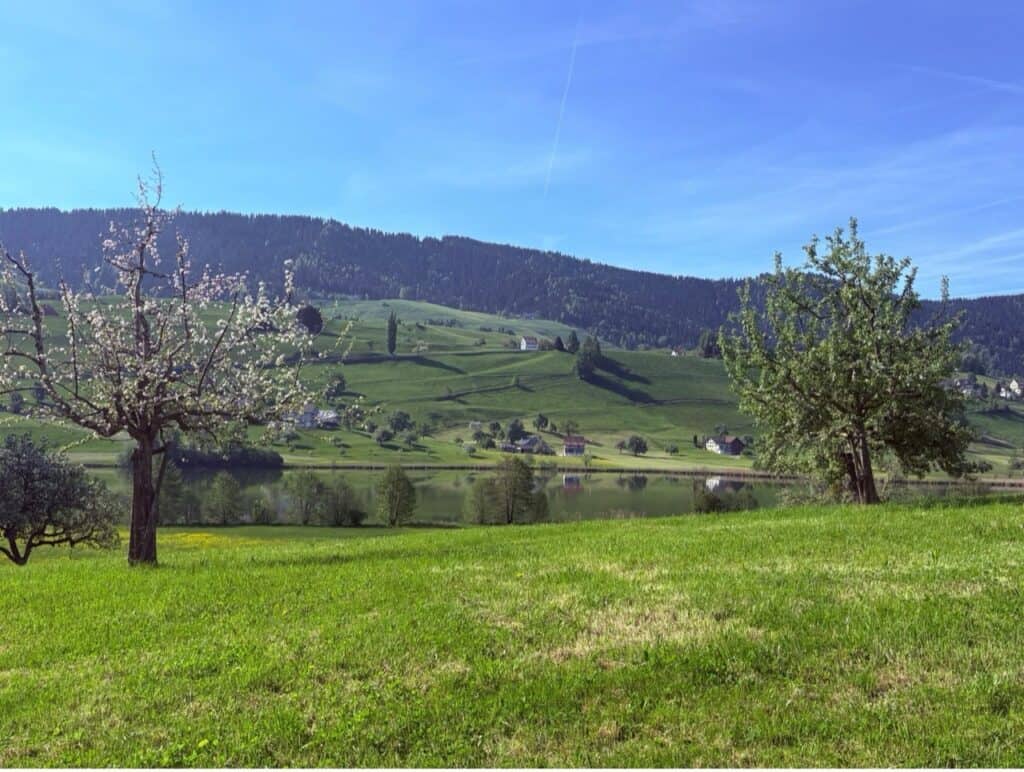 Scenic Hüttnersee lake with blooming trees in spring.