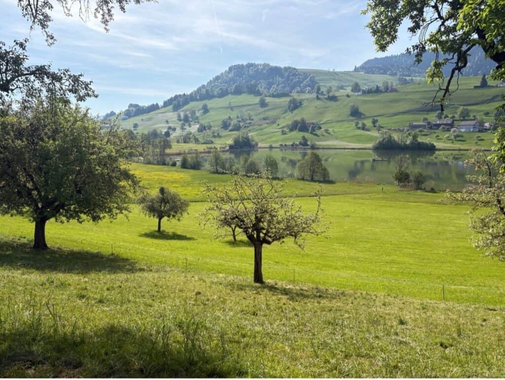 Panoramic view of Hüttnersee surrounded by lush green hills near Zurich.