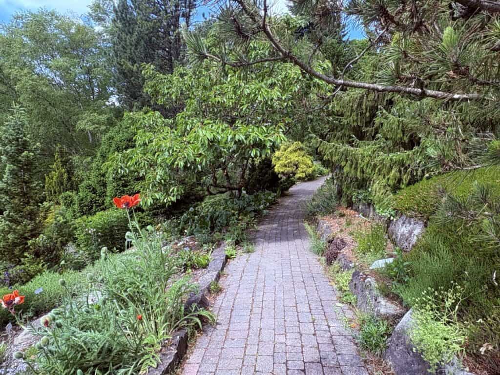 Peaceful walking path leading through one of the many freely accessible botanical gardens in Switzerland. 