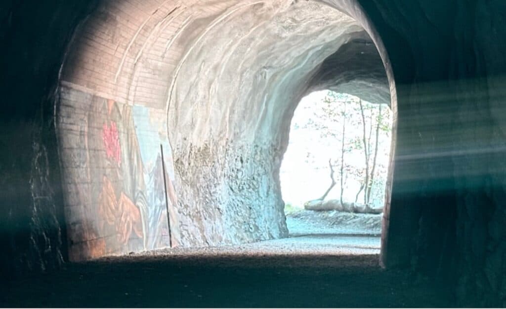 The graffiti by Linus von Moos – he is one of five artists who painted pictures on the walls of the pedestrian tunnel.