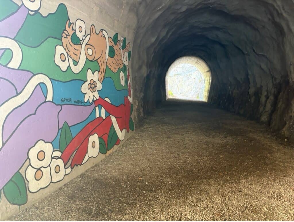 Interior view of a paved pedestrian tunnel on the Swiss Path with colorful graffiti murals painted on the concrete walls.