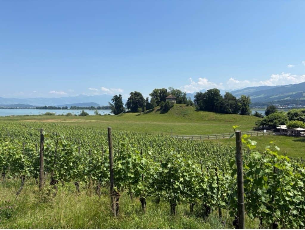 Ufenau Island on Lake Zurich with its historic vineyards and scenic lakeside landscape.