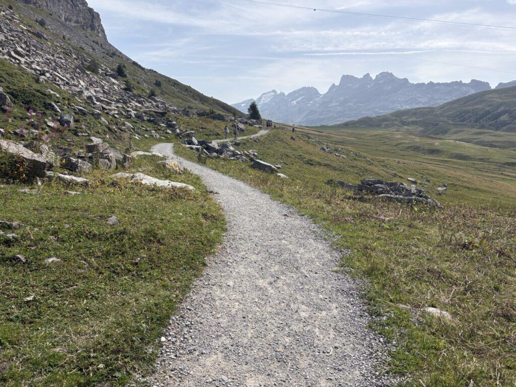 Scenic hiking trail from Melchsee to Tannensee winding through lush alpine meadows, with beautiful mountain views in central Switzerland.