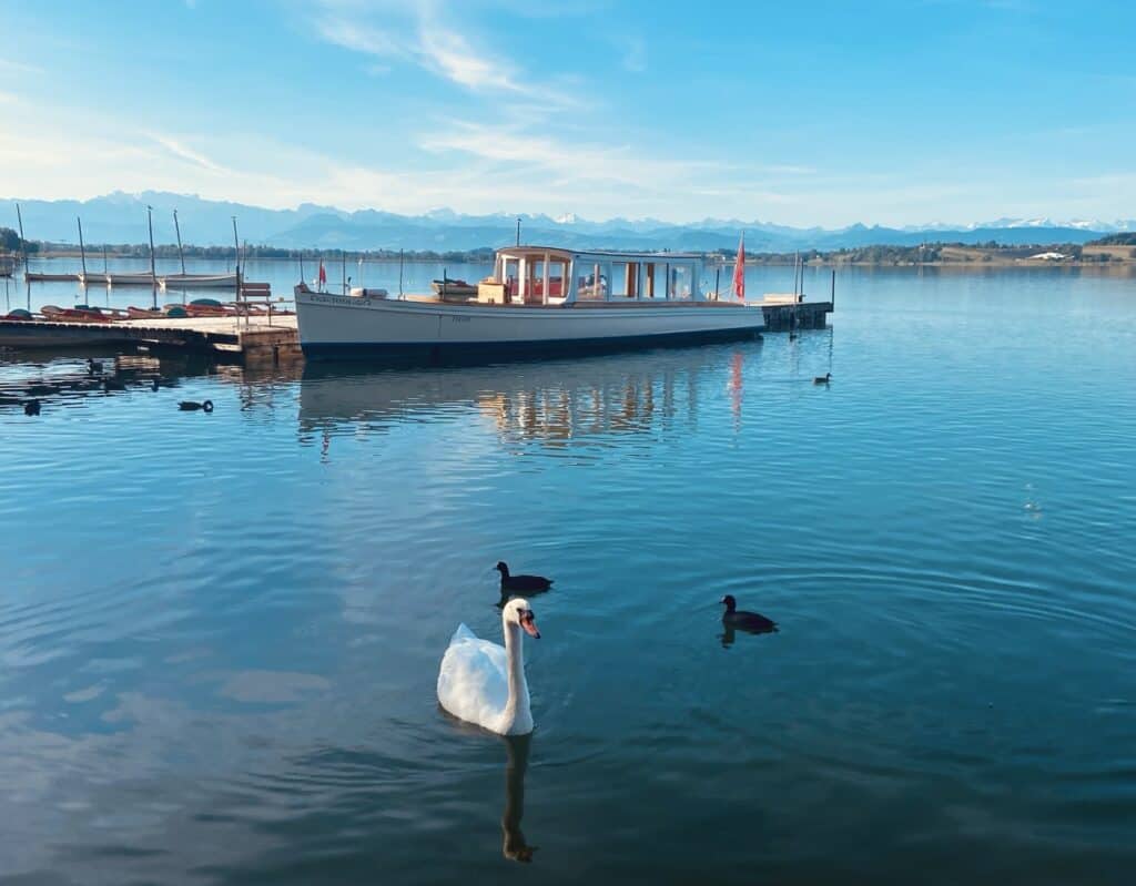 Scenic view of Lake Pfäffikon (Pfäffikersee) near Zurich, with swans and boats on the water and mountains in the background. The lakeside walking trail is free to enjoy.